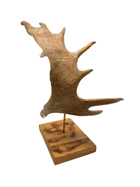 Soaring Eagle Antler Carving