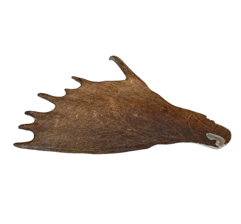 Eagle Head Moose Antler Carving