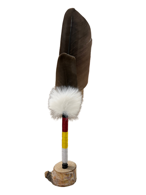 Handcrafted Feather Pen – Medicine Wheel Colors