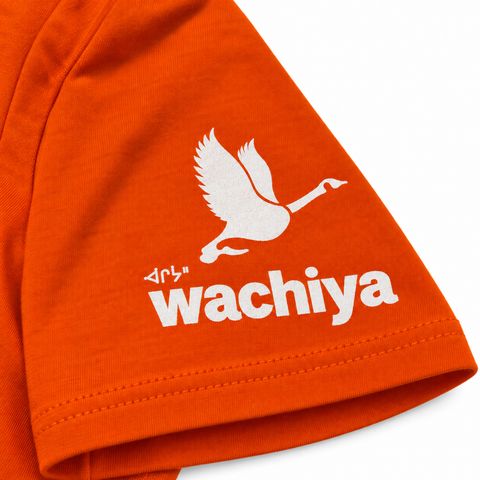 Orange Shirt Day Tee 2026