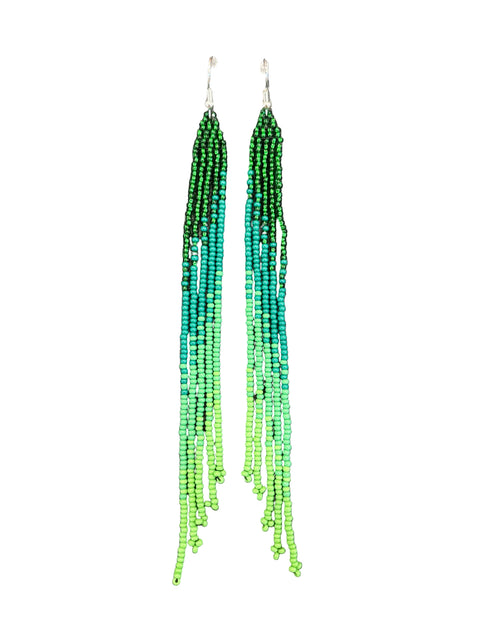 Ombré Long Fringe Earrings