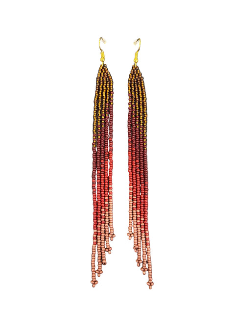 Ombré Long Fringe Earrings