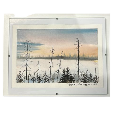 Winter Spruce Drywood 8.5"X11" - Watercolor on Paper